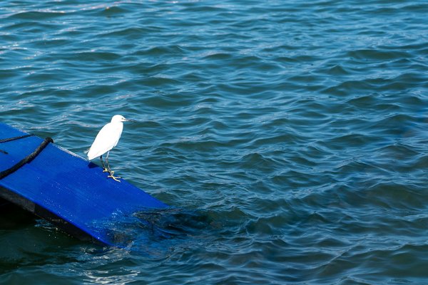 Transformer votre corps gr¢ce au CrossFit : le guide ultime