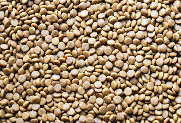 Tenues de sport pour femmes enceintes : Bougez avec style pendant la grossesse !